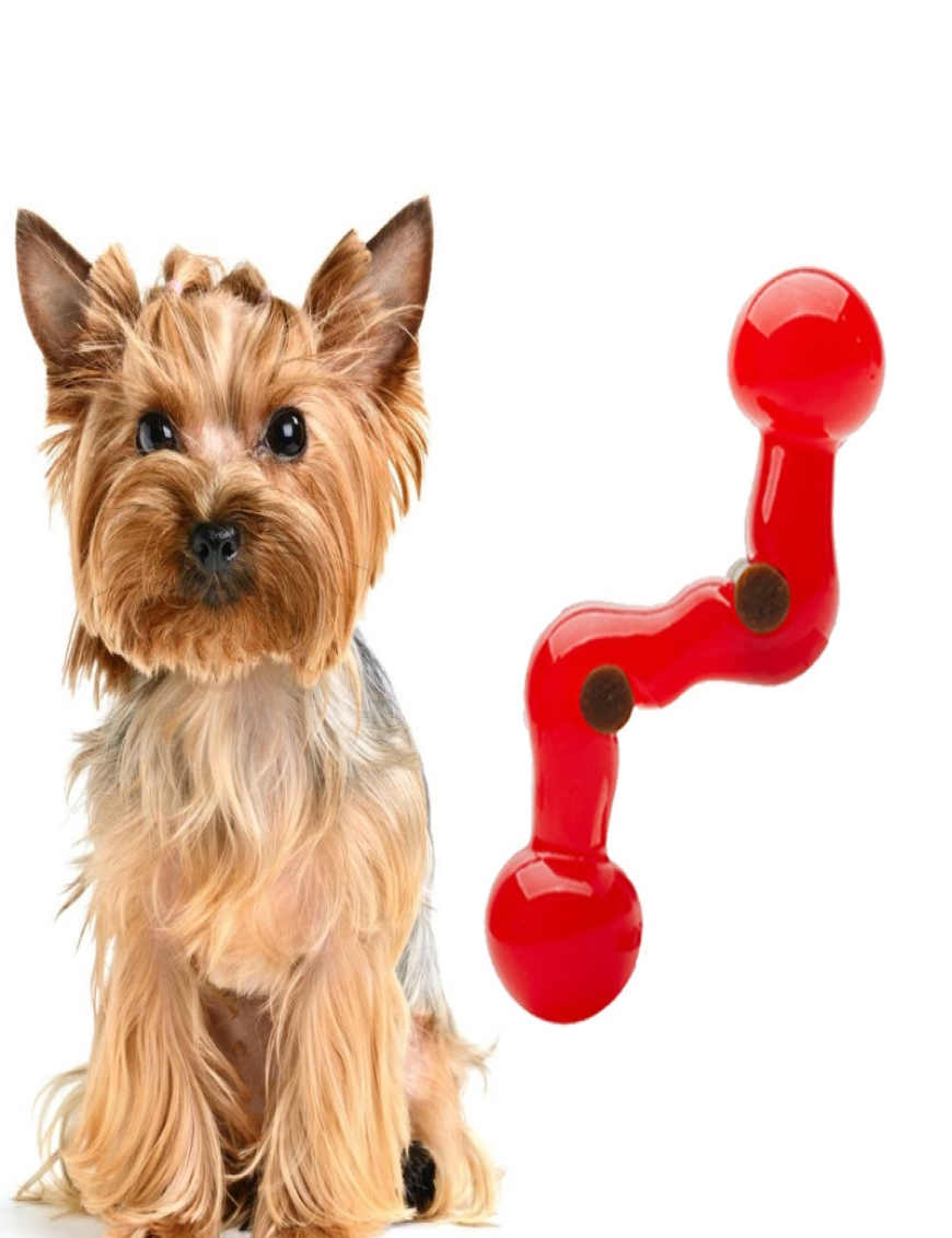 Las mejores ofertas en Juguetes de perro de juguete interactivo de nylon