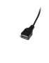 Cable 30cm Mini USB M a USB H - Imagen 3