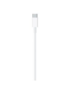 USB-C TO LIGHTNING CABLE (1 M)-AME - Imagen 4