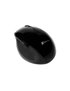 Klip Xtreme - Mouse - 2.4 GHz - Wireless - Black - Ergonomic   KMW-500BK